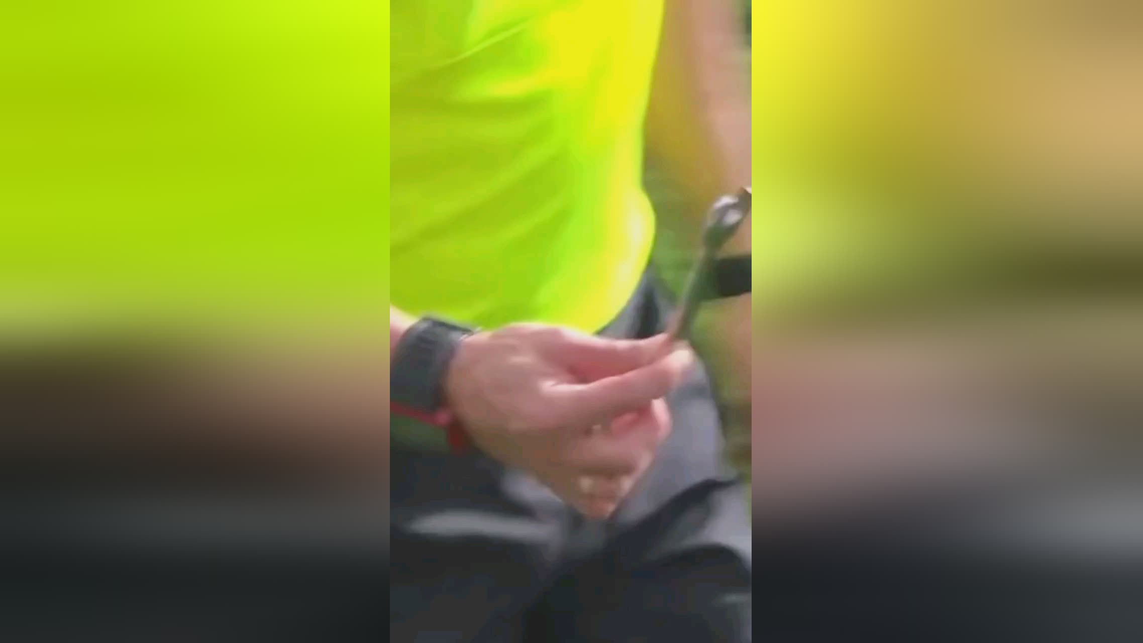 决策能力